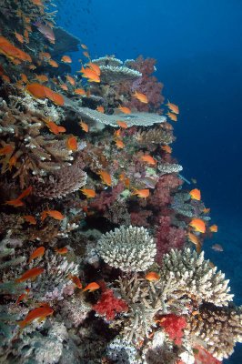 DSC_8104.jpg