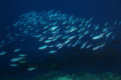 DSC_8363.jpg