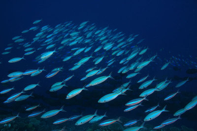 DSC_8364.jpg