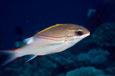 DSC_8925.jpg