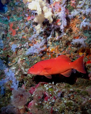 DSC_9063.jpg