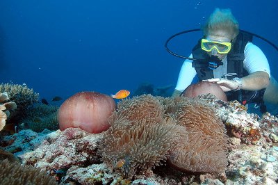 DSC_1112.jpg