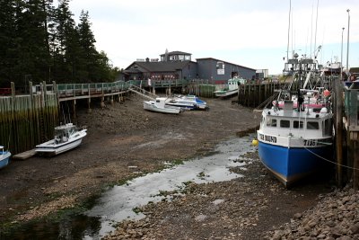 Hall's Harbor Low Tide.JPG