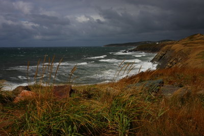 Coastline.JPG