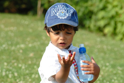 DSC_4584.jpg