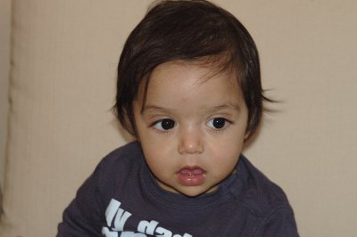 Janvier 2008