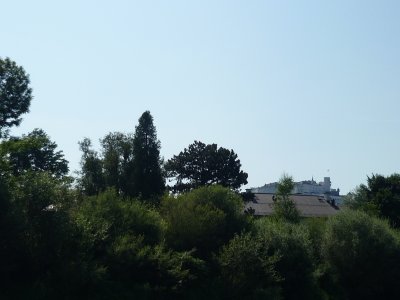 Bootsfahrt auf der Salzach