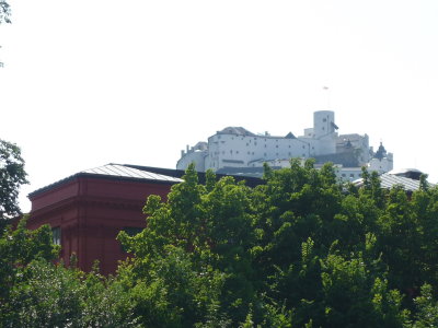 Bootsfahrt auf der Salzach