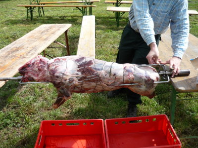 Boar Roast 2010