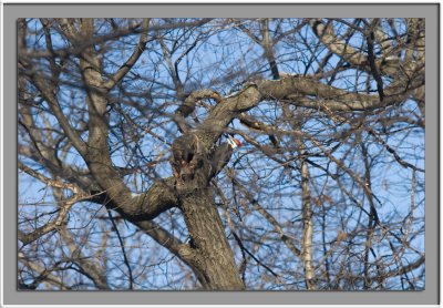 IMG_7655_w.jpg