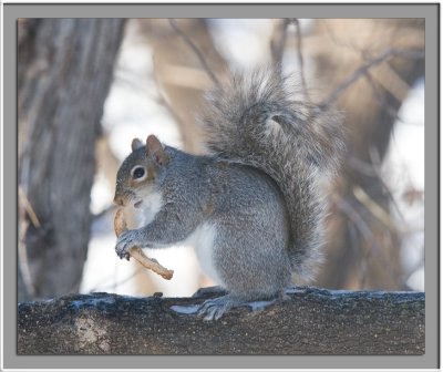 IMG_7676_w.jpg