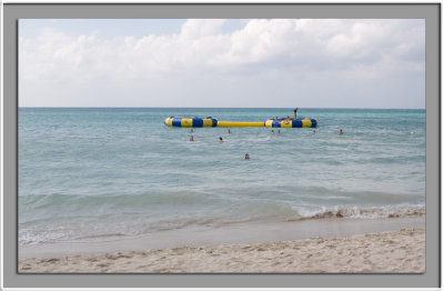 IMG_5556_w.jpg