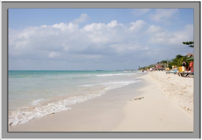 IMG_5576_w.jpg