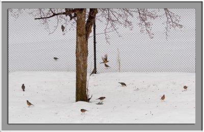 IMG_8257_w.jpg