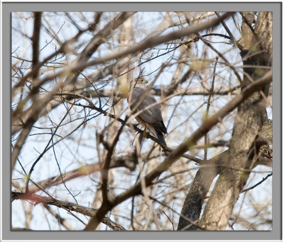 IMG_8538_w.jpg