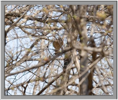 IMG_8551_w.jpg