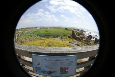 Hole at the beach.JPG