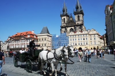 horse carraige at Starometske namesti.JPG
