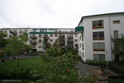IMG_9052.jpg