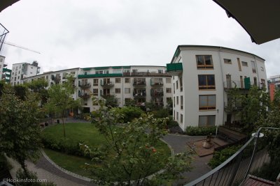 IMG_9053.jpg