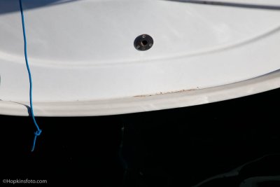 IMG_9884.jpg
