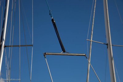 IMG_9894.jpg