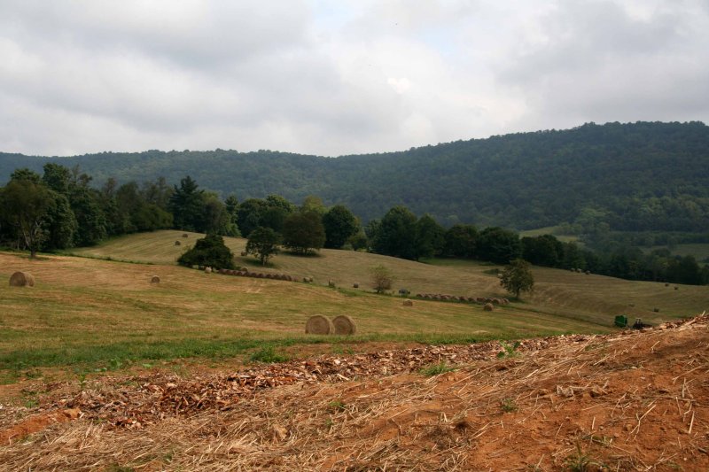 View From The Farm.