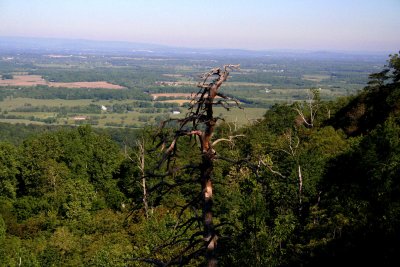 Raven's Rocks: Looking West.