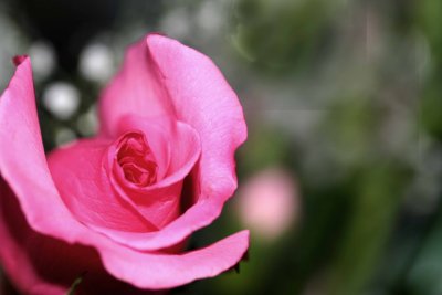 feb_09