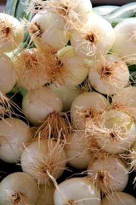Candy Onions.