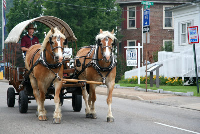 Terry Burkhalter With Sonny & Cher: Classic Carriage.