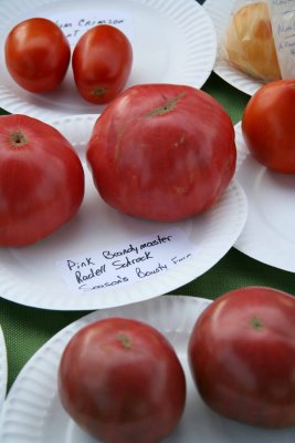 Winning Maters.