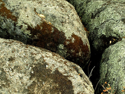 Four Boulders.jpg