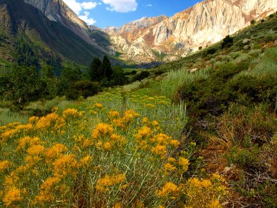Convict Canyon Trail.jpg
