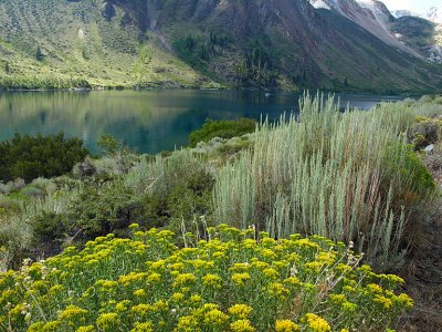 Convict Lake.jpg