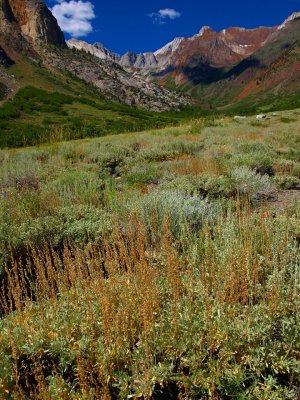 McGee Creek Trail and Mt Abbot 2.jpg