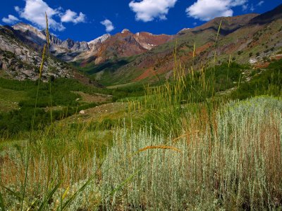McGee Creek Trail and Mt Abbot 3.jpg