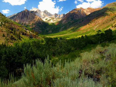 McGee Creek Trail and Mt Abbot 5.jpg