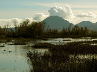 Sutter Buttes 1.jpg