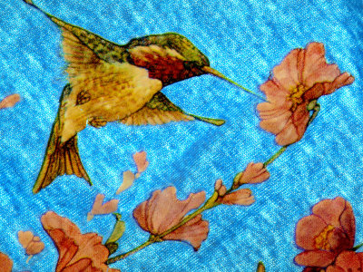 Hummingbird Shirt Picture 2.jpg