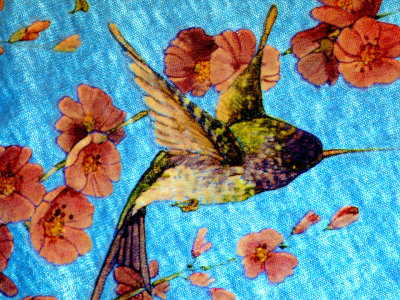 Hummingbird Shirt Picture 1.jpg