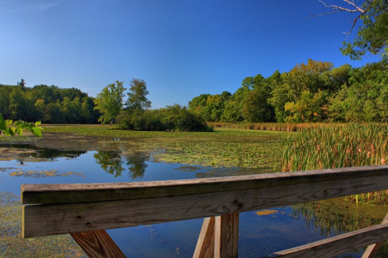 Pond Reflection in HDR<BR>September 4, 2009