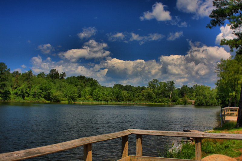 Pond in HDR<BR>July 26, 2010