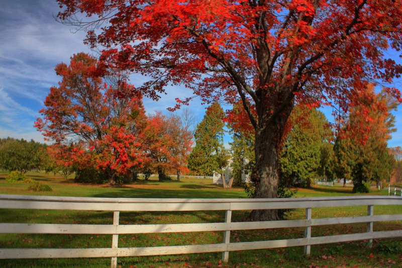 Landscape in HDR<BR>October 14, 2010