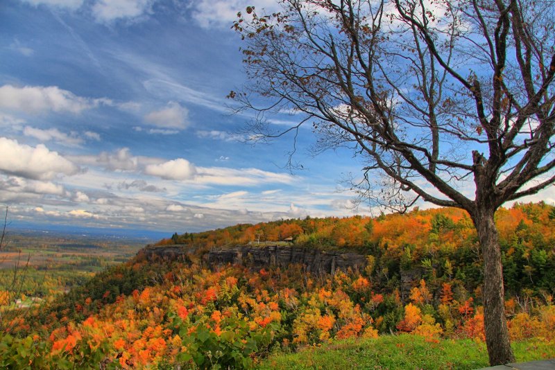 Autumn Colors in HDR<BR>October 8, 2012