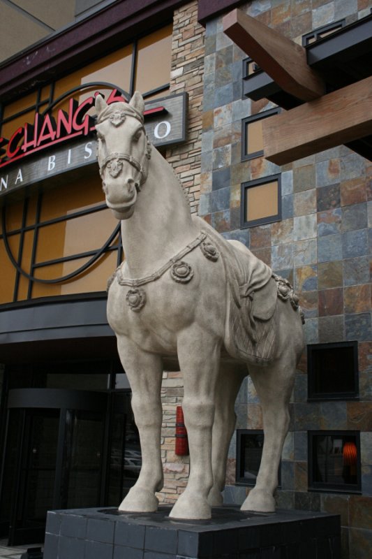 Horse at PF Changs<BR>February 3, 2008