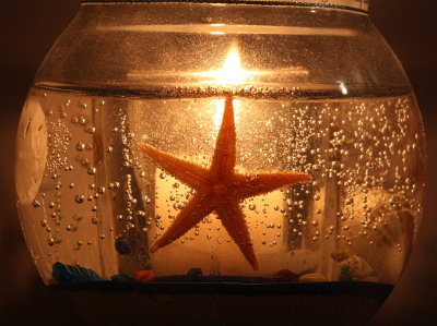 Candlelite StarfishOctober 28, 2008