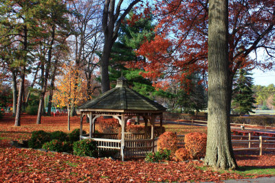 Autumn Scene - GazeboNovember 10, 2008