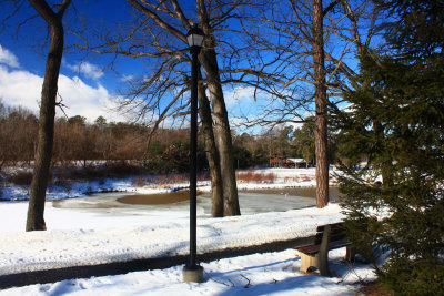 Cook Park<BR>January 24, 2009
