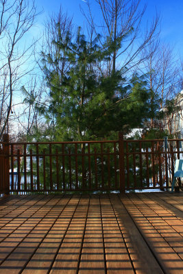 Deck Railing Shadow<BR>January 27, 2009